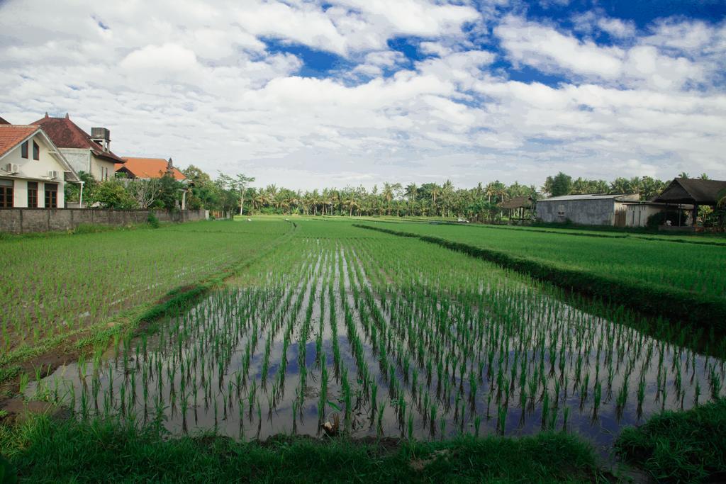 Canang Sari House Ubud Eksteriør billede